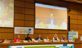 High-Level Event Held Under the Chairmanship of H.E. Andranik Hovhannisyan to Mark International Day Against Drug Abuse and Illicit Trafficking