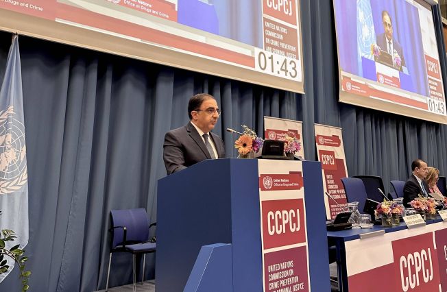 Statement by Ambassador Andranik Hovhannisyan at the 34th Session of the Commission on Crime Prevention and Criminal Justice (CCPCJ)