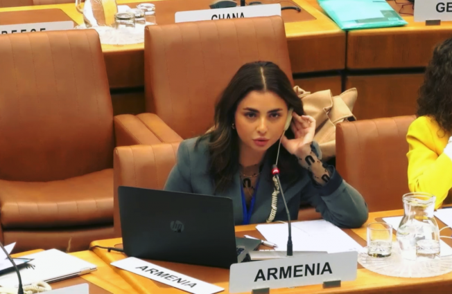 Statement by the Delegation of the Republic of Armenia at the 41st session of the Programme and Budget Committee (PBC) of the United Nations Industrial Development Organisation (UNIDO) under Agenda item 3: Annual Report of the Director General for 2024