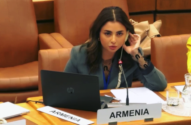 Statement by the Delegation of the Republic of Armenia at the 41st session of the Programme and Budget Committee (PBC) of the United Nations Industrial Development Organisation (UNIDO) under Agenda item 3: Annual Report of the Director General for 2024