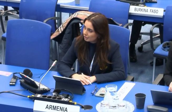 Statement by the Delegation of Armenia at the Sixty-third session Scientific and Technical Subcommittee of the Committee on the Peaceful Uses of Outer Space