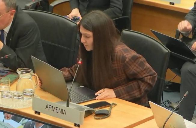 Statement by the delegation of the Republic of Armenia at the 42nd session of the Programme and Budget Committee of the United Nations Industrial Development Organization